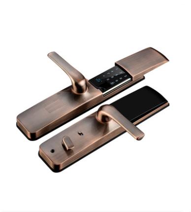 贞丰李文锁城开锁公司滑盖指纹锁家用防盗门